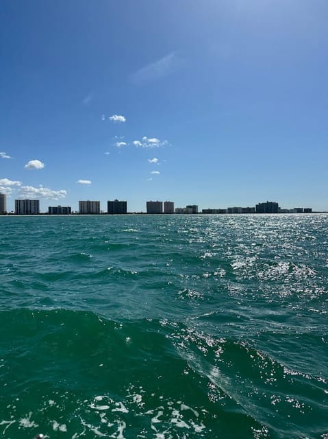 Clearwater: 1 Hour Jetski Dolphin Tour with Guide - The Guide Factor: Why Leah and Her Team Matter