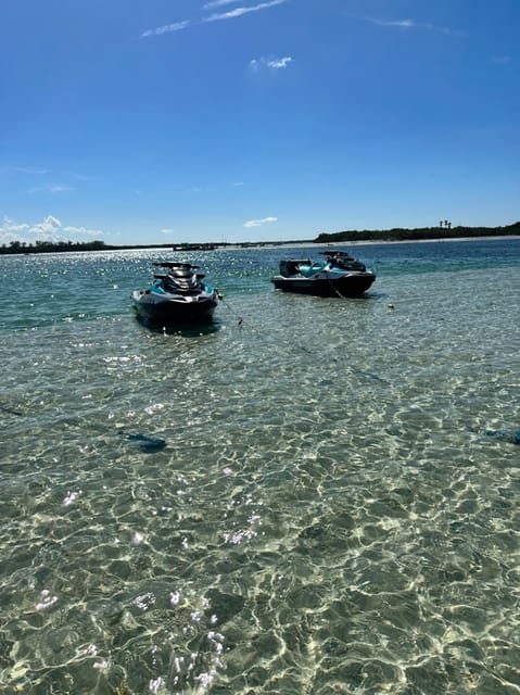 Clearwater: 1 Hour Jetski Dolphin Tour with Guide - What to Bring for a Smooth Hour (and What Not to)