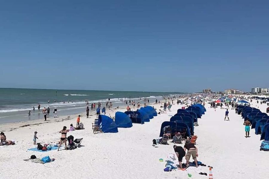 Clearwater Beach and Dolphin Cruise Day Trip from Orlando - Orlando Pickup: Timing, Comfort, and What to Watch For