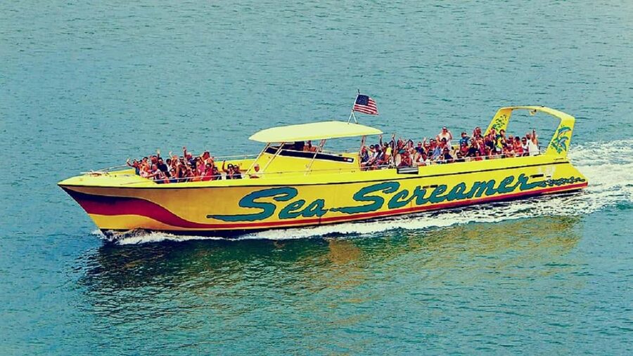Clearwater Beach and Dolphin Cruise Day Trip from Orlando - Clearwater Beach Free Time: How to Make the Most of Five Hours
