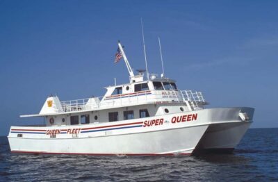 Clearwater Beach and Dolphin Cruise Day Trip from Orlando - The Optional 1-Hour Dolphin Speedboat: Is It Worth Upgrading?