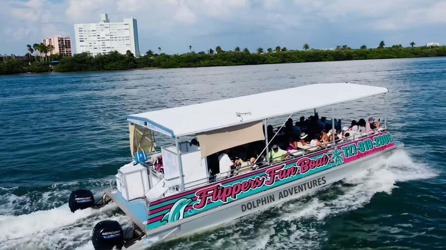Clearwater Beach: Dolphin Excursion - Flippers Fun Boat - Guaranteed dolphin sightings: what that really means for you