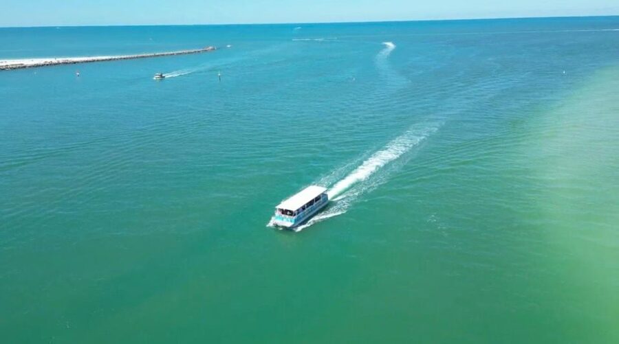 Clearwater Beach: Dolphin & Island Sandbar Cruise - Key highlights worth planning around