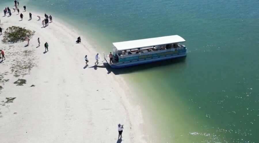 Clearwater Beach: Dolphin & Island Sandbar Cruise - Who this tour suits best—and who might want a different plan