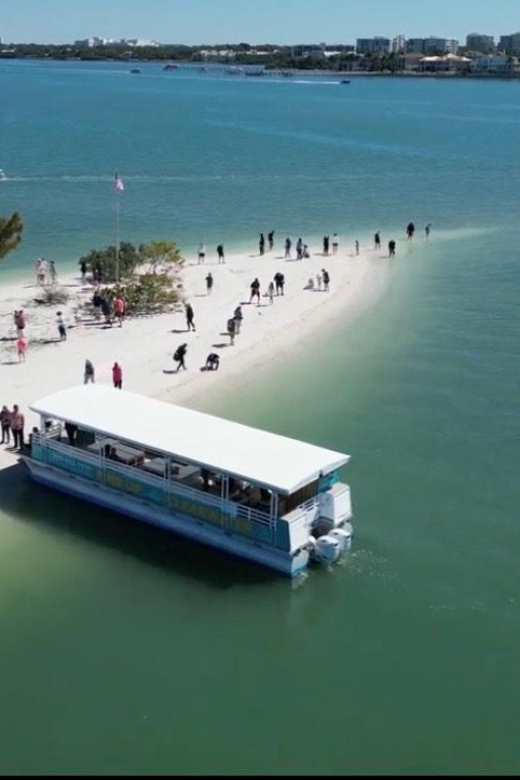 Clearwater Beach: Dolphin & Island Sandbar Cruise - Why this 2-hour cruise hits the sweet spot in Clearwater