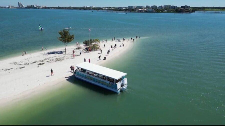 Clearwater Beach: Dolphin & Island Sandbar Cruise - Dolphins: what the guarantee changes for your day