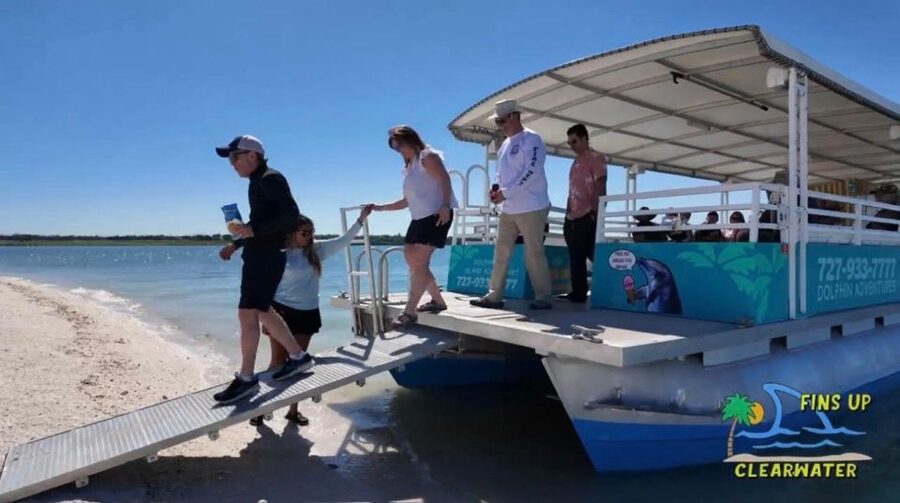 Clearwater Beach: Dolphin & Island Sandbar Cruise - The One-Tree Island stop: swim time, photo moments, and crowd reality