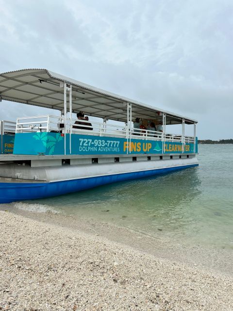 Clearwater Beach: Dolphin & Island Sandbar Cruise - Comfort on board: shade, restroom, and the BYOB setup
