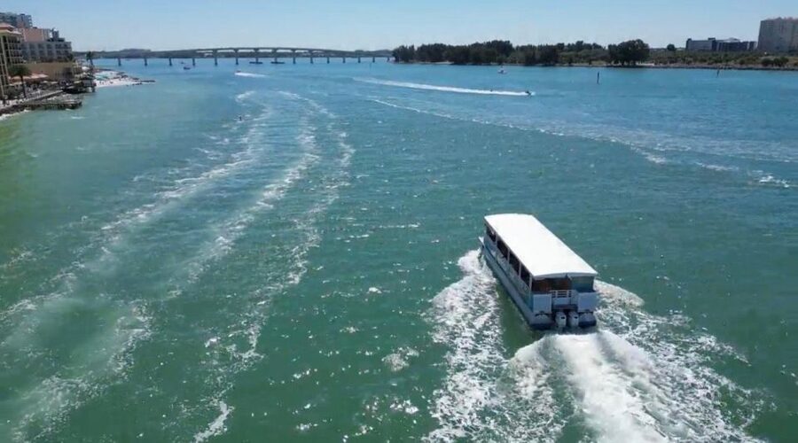 Clearwater Beach: Dolphin & Island Sandbar Cruise - What you’ll learn while you’re cruising