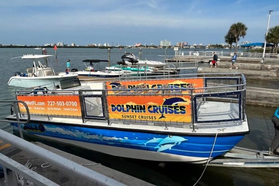 Clearwater Beach: Dolphin-Watching Sunset Cruise - The dolphin part: what to expect when wildlife is the star