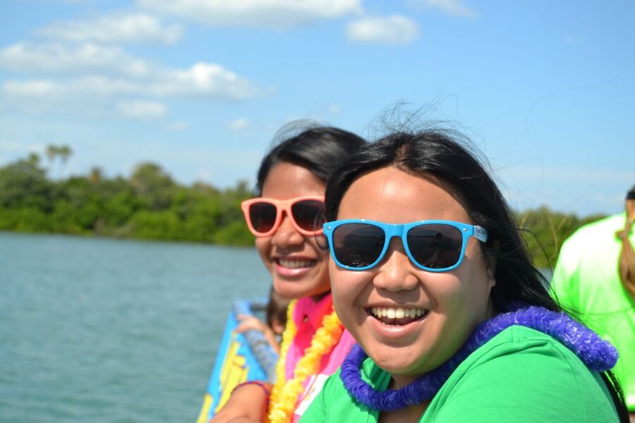 Clearwater: Cruise with Guaranteed Dolphin Sightings - Guaranteed dolphin cruise in Clearwater: what the 2 hours delivers