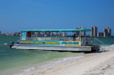 Clearwater: Dolphin Cruise with an Island Adventure - Dolphin Spotting in Their Natural Habitat (Plus a Backup Plan)