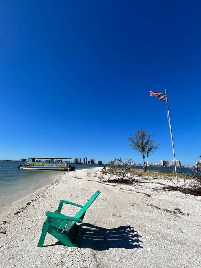 Clearwater: Dolphin Cruise with an Island Adventure - The Full Itinerary in Plain English (What Happens When)
