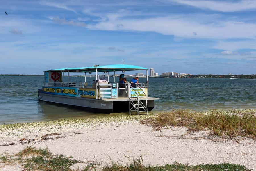 Clearwater: Dolphin Cruise with an Island Adventure - What to Bring for a Smooth Day in the Sun