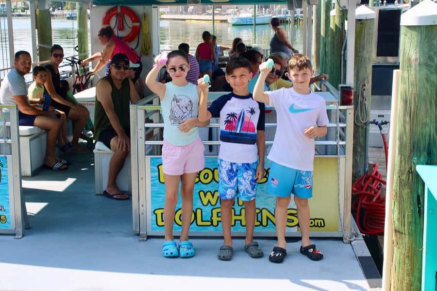 Clearwater: Dolphin Cruise with an Island Adventure - Who This Tour Is Best For (and Who Should Skip It)