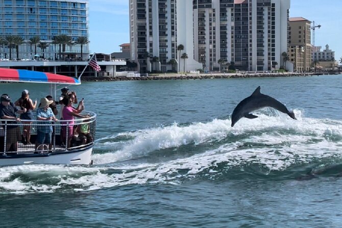 Clearwater Encounters with Dolphins Tour - The Compass Island Stop: Shell Hunting and a Real Water Break