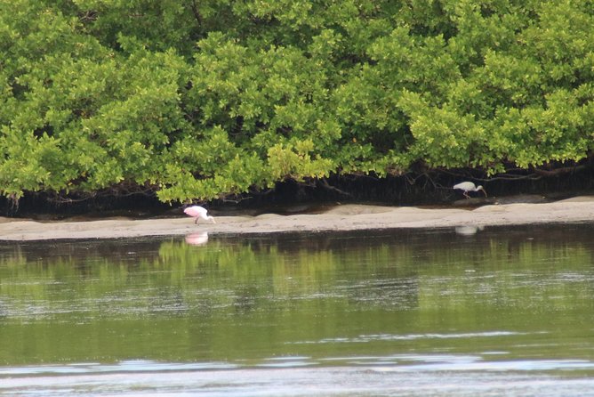 Clearwater Encounters with Dolphins Tour - Rough Water, Sea Spray, and the Captain’s Job