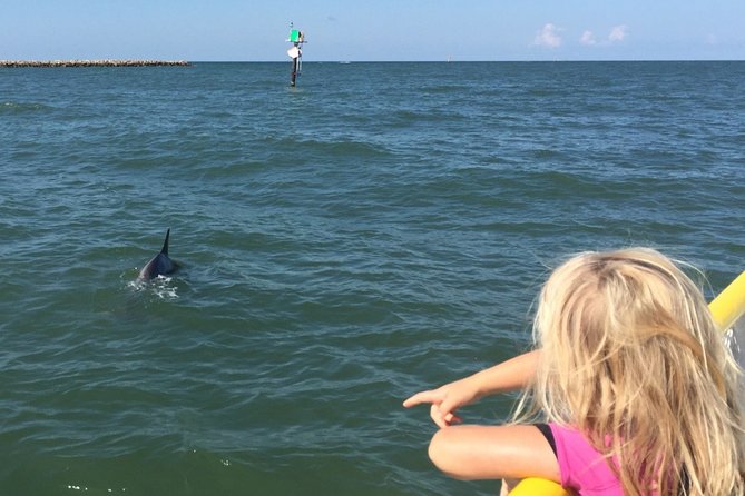 Clearwater Encounters with Dolphins Tour - Learning the Area While You Ride (Not Just “Look Over There”)