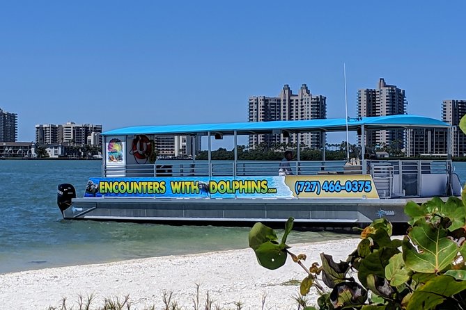 Clearwater Encounters with Dolphins Tour - Your Boat Ride: What You’re Actually Signing Up For