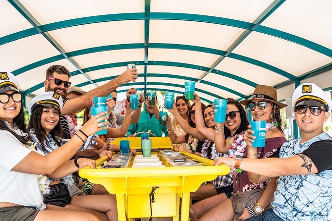 Clearwater Island Hop and Dolphin Watch with Swimming - Why a Paddle Pub dolphin watch feels different in Clearwater