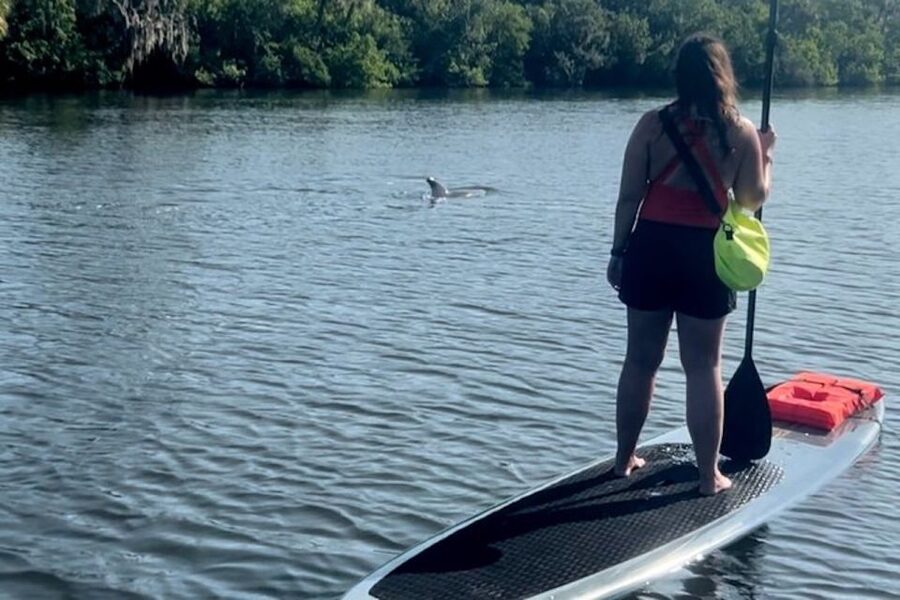 Cocoa Beach: Dolphin and Manatee Kayak or Paddle Tour - Cocoa Beach kayaking: wildlife viewing you can actually feel