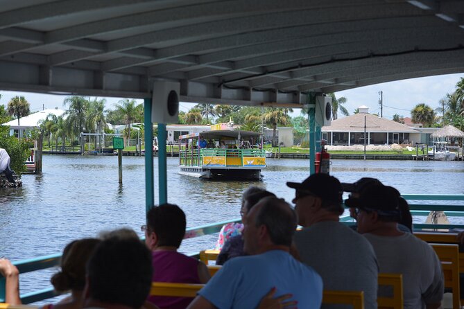 Cocoa Beach Dolphin and Wildlife Tour - Spotting Dolphins and Manatees: Realistic Expectations for the Estuary