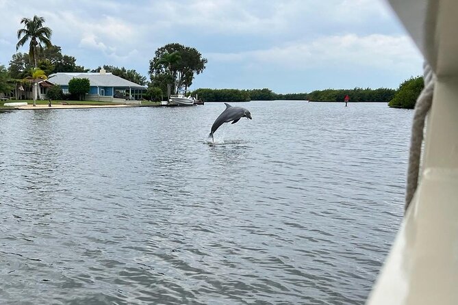 Cocoa Beach Dolphin and Wildlife Tour - On-Board Comfort: Restroom Access, Weather Notes, and Cold-Weather Reality