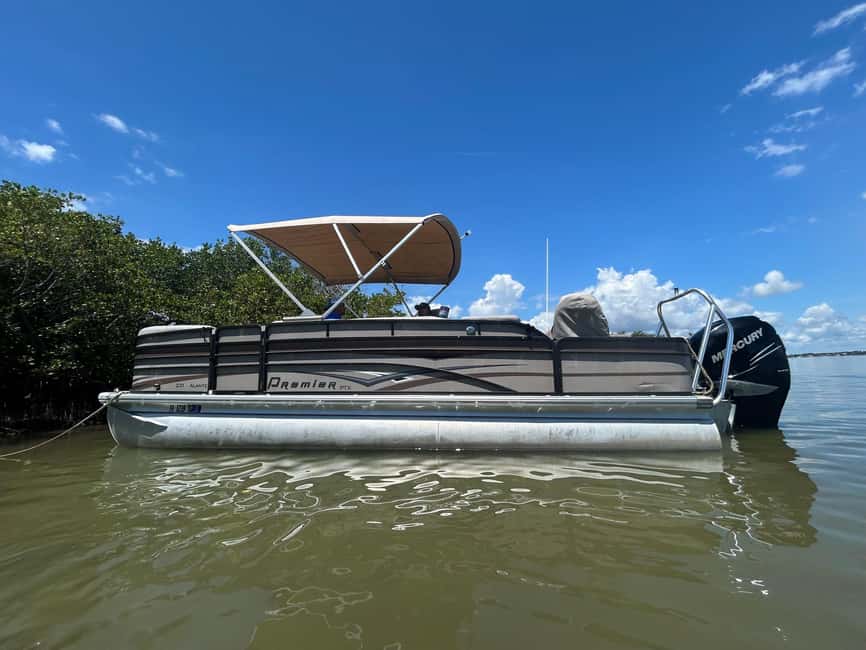 Cocoa Beach: Dolphin & Manatee Pontoon Cruise - Captain Steve Turns Wildlife Watching Into a Real Lesson