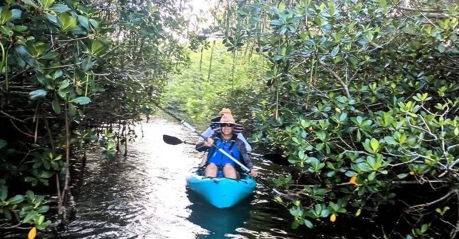 Cocoa Beach/Merritt Island: Guided Dolphin and Manatee Tour - Why This Kiwanis Island Park Kayak Tour Works