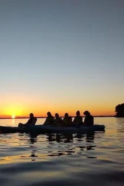 Cocoa Beach/Merritt Island: Guided Dolphin and Manatee Tour - Kayaking the Indian River Lagoon: your 2-hour wildlife “front row”