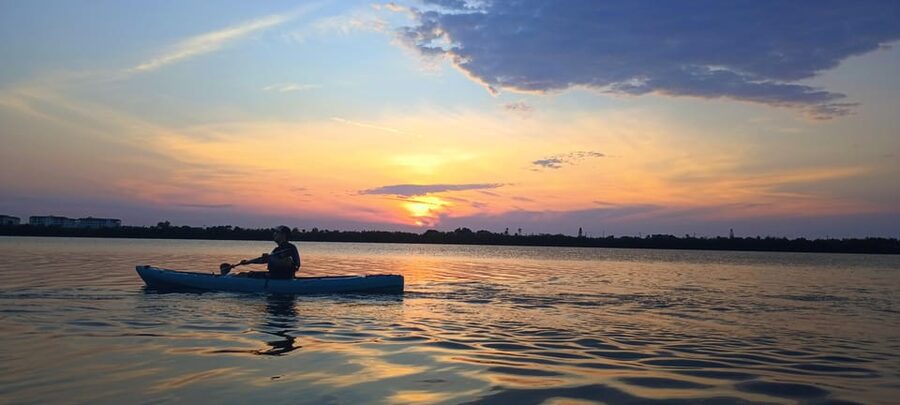 Cocoa Beach/Merritt Island: Guided Dolphin and Manatee Tour - Pricing and Value: Is $48 a Fair Deal?