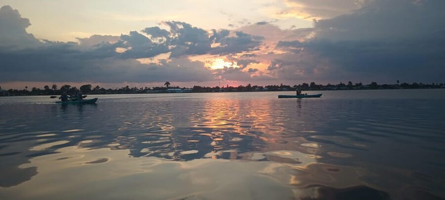 Cocoa Beach/Merritt Island: Guided Dolphin and Manatee Tour - The Best Part: Learning While You Paddle