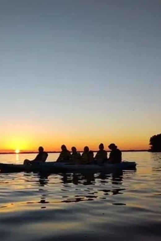 Cocoa Beach/Merritt Island: Guided Dolphin and Manatee Tour - The Main Event on Indian River Lagoon: Dolphins, Manatees, Birds, and Seagrass