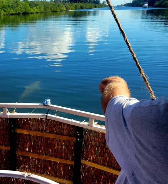 Cocoa Beach: Private 2-Hour Dolphin Sightseeing Tour - Key things you’ll notice on this tour