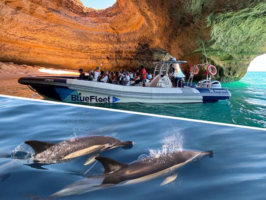 Combo: Benagil & Dolphins Boat Tour w/ Marine Biologists - Getting to the meeting point: Lagos Marina area timing and setup