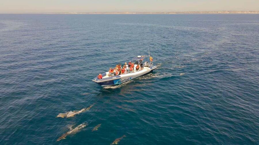 Combo: Benagil & Dolphins Boat Tour w/ Marine Biologists - Who this tour is best for (and who should skip it)