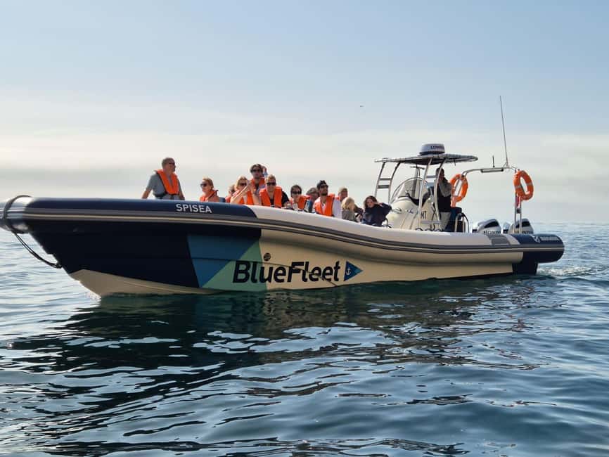 Combo: Benagil & Dolphins Boat Tour w/ Marine Biologists - Cruising the Algarve coastline: cliffs, sea caves, and golden beaches