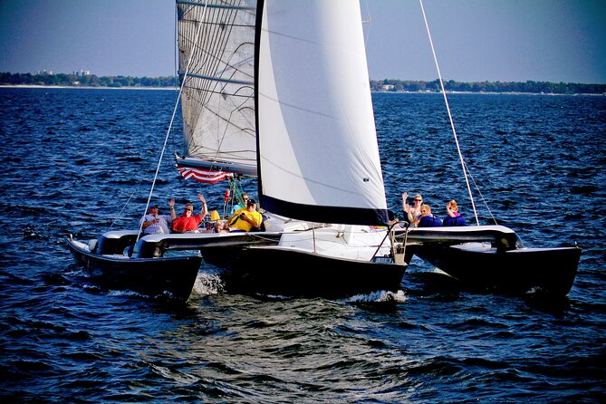 Condor Sailing Fun, Relaxing Public Dolphin & Sightseeing Cruise - Key highlights to know before you go