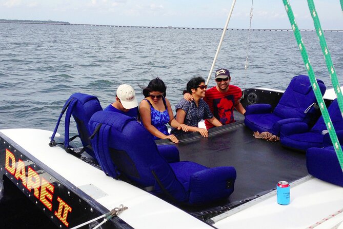 Condor Sailing Fun, Relaxing Public Dolphin & Sightseeing Cruise - Stop Two: Captain Kirk’s dolphin hunt and the best ways to watch