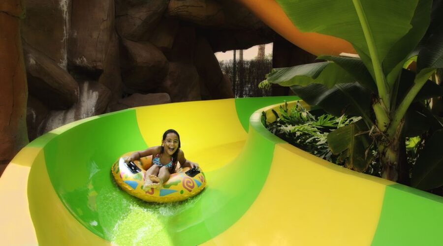 Costa Adeje: Aqualand Water Park Ticket with Dolphin Show - Comfort and safety: what to wear and what can sting