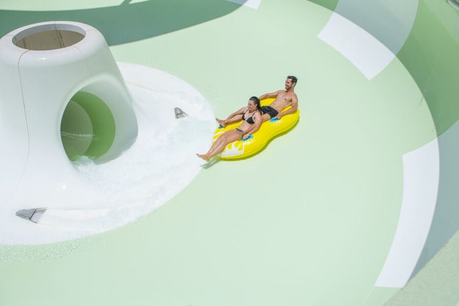 Costa Adeje: Aqualand Water Park Ticket with Dolphin Show - The dolphin show: why it’s worth building your day around
