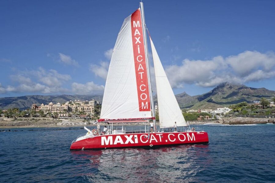 Costa Adeje: Whale and Dolphin Cruise with Food and Pickup - Why a 3-Hour Whale and Dolphin Cruise Works So Well Here