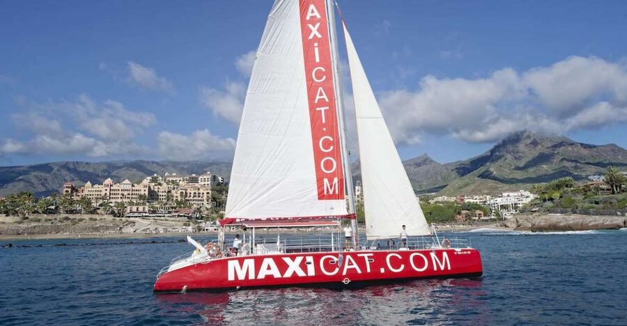 Costa Adeje: Whale and Dolphin Cruise with Food and Pickup - Diego Hernández Bay: Nets, Clear Water, and Snorkel Done Right