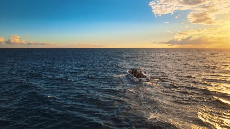 Costa Adeje: Whale and Dolphin-Watching Boat Excursion - Key details I’d anchor in your planning