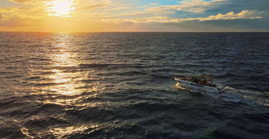 Costa Adeje: Whale and Dolphin-Watching Boat Excursion - Whale-and-dolphin watching from Costa Adeje: why this area works