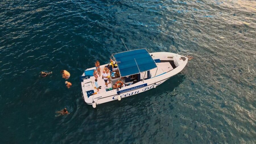 Costa Adeje: Whale and Dolphin-Watching Boat Excursion - From Lina Yacht to open ocean: how the timing really feels