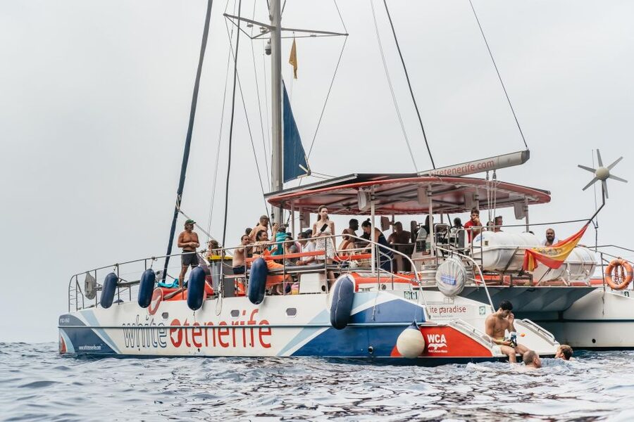 Costa Adeje: Whale & Dolphin Eco-Cruise with Snacks & Drinks - Key things I’d zero in on
