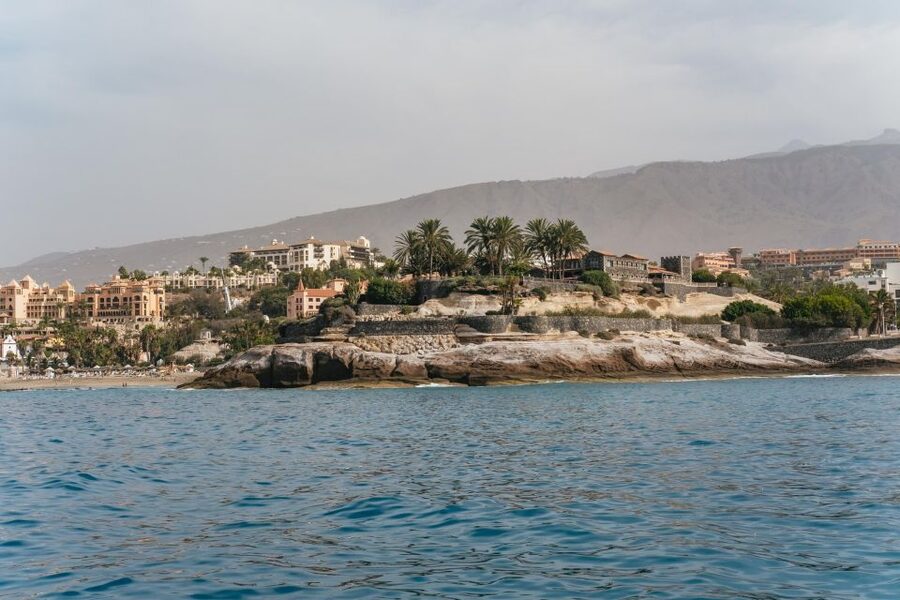 Costa Adeje: Whale & Dolphin Eco-Cruise with Snacks & Drinks - Practical tips that make the day smoother