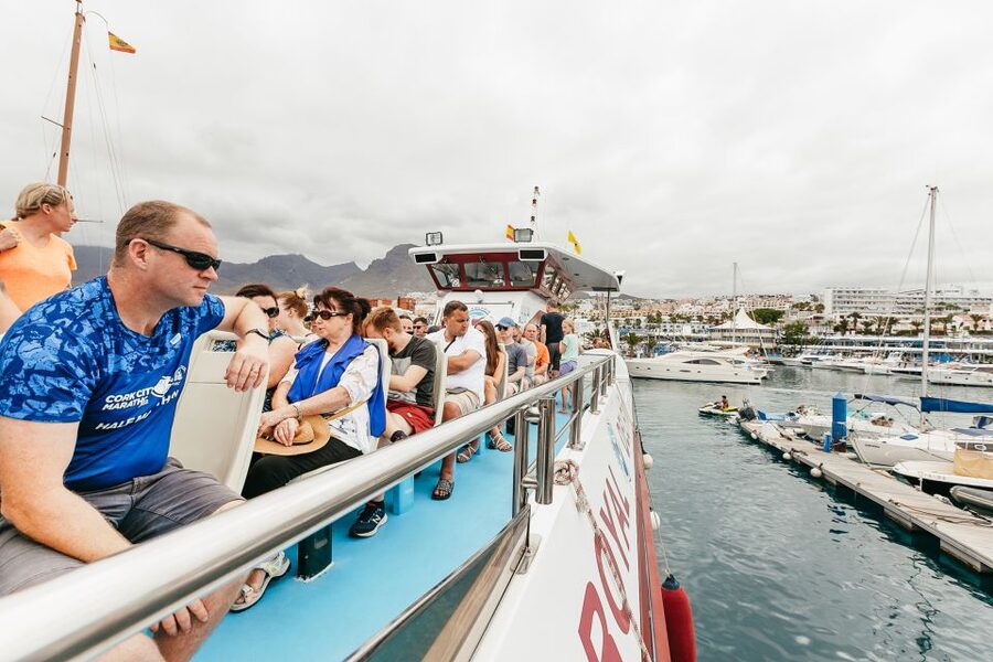 Costa Adeje: Whale & Dolphin Submarine Vision Mini Cruise - FAQ