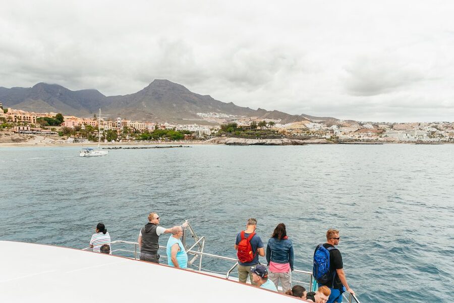 Costa Adeje: Whale & Dolphin Submarine Vision Mini Cruise - Searching for Pilot Whales and Dolphins Along Adeje’s Southwest Coast